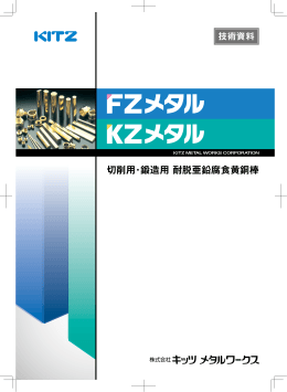 FZメタル / KZメタル