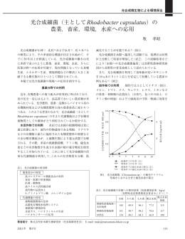光合成細菌（主としてRhodobacter capsulatus）の 農業，畜産，環境