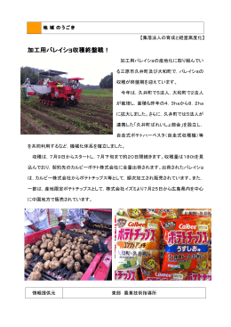 加工用バレイショ収穫終盤戦！（三原市） (PDFファイル)