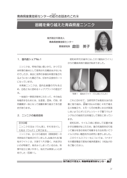 【第16回】 困難を乗り越えた青森県産ニンニク