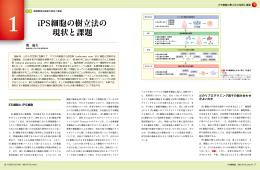 iPS細胞の樹立法の 現状と課題