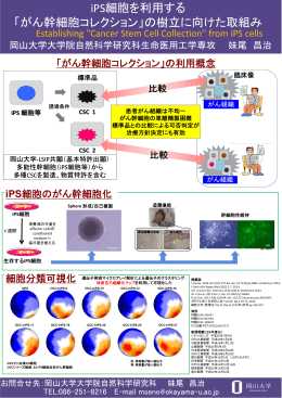 iPS細胞を利用する 「がん幹細胞コレクション」の樹立に向けた取組み