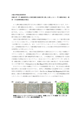 相互連携事例