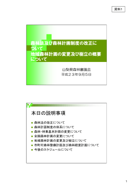 資料1（PDF：519KB）