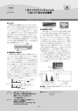 T 型マイクロチャンネルによる 二相スラグ流の形成機構