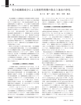 光合成細菌成分による放射性核種の除去と海水の浄化