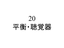 020平衡・視聴覚