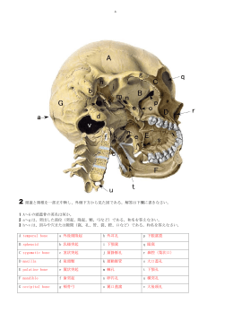 2 頭蓋と頸椎を一部正中断し、外側下方から見た図である。解答は下欄に