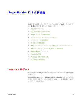 PowerBuilder 12.1 の新機能