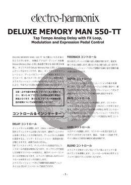 DELUXE MEMORY MAN 550-TT
