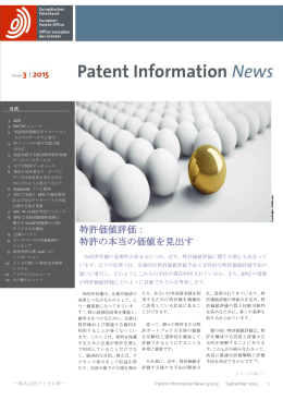 特許価値評価： 特許の本当の価値を見出す