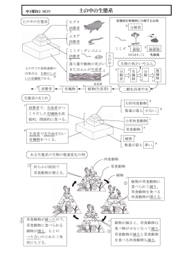 土の中の生態系