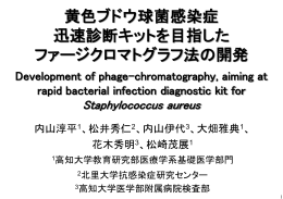 黄色ブドウ球菌感染症 迅速診断キットを目指した ファージクロマトグラフ