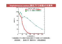 Staphylococcus aureus (黄色ブドウ球菌)の生菌率