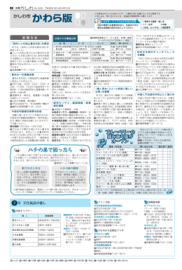 ハチの巣で困ったら