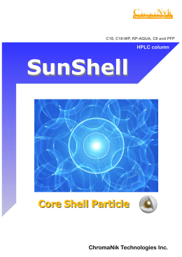 Core Shell Particle