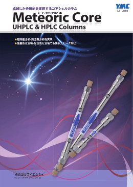 Meteoric Core