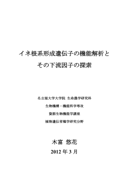 イネ根系形成遺伝子の機能解析と その下流因子の探索