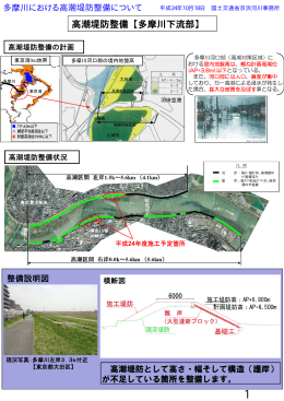 高潮堤防整備【多摩川下流部】
