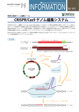 CRISPR/Cas9 ゲノム編集システム