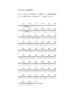 DHFR DNA の塩基配列