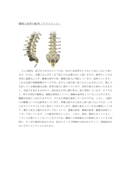腰椎と仙骨の配列（アライメント）