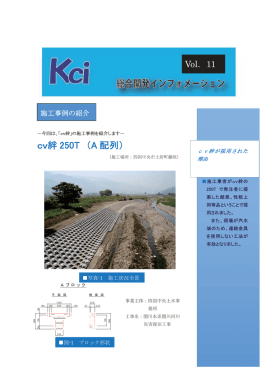 cv絆 250T （A 配列）