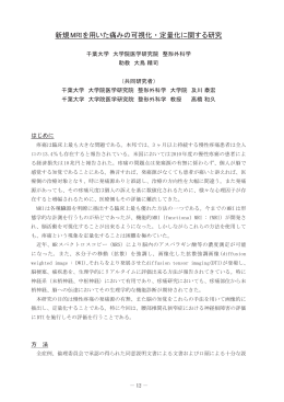 新規MRIを用いた痛みの可視化・定量化に関する研究