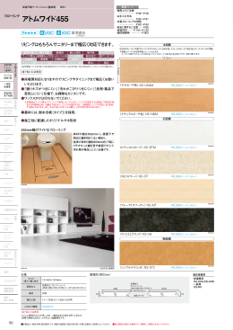 アトムワイド455