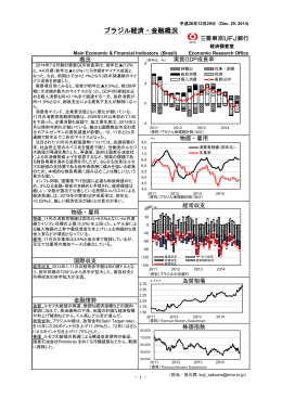 ブラジル（2014年12月）
