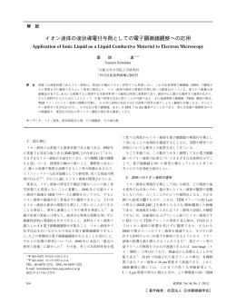 イオン液体の液状導電付与剤としての電子顕微鏡観察