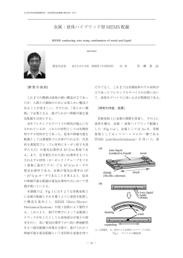 金属・液体ハイブリッド型 MEMS 配線