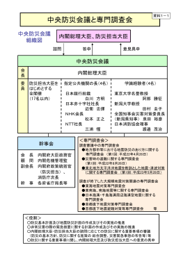 中央防災会議と専門調査会