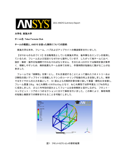 2011 ANSYS Summary Report 大学名: 東海大学 チーム名: Tokai