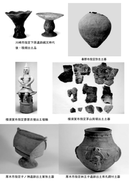 横須賀市指定蓼原古墳出土埴輪 横須賀市指定茅山貝塚出土土器 秦野