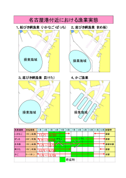 名古屋港付近における漁業実態について