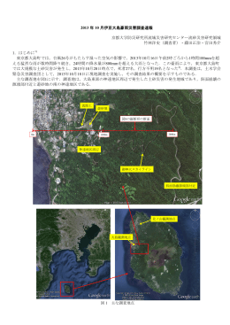 2013 年 10 月伊豆大島豪雨災害調査速報 京都大学防災研究所流域