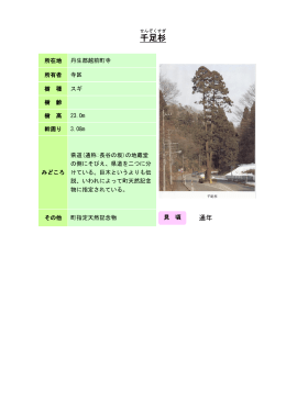48丹南：千足杉（PDF形式 124キロバイト）