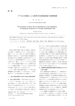 ずり応力刺激による脈管内皮細胞機能の制御機構