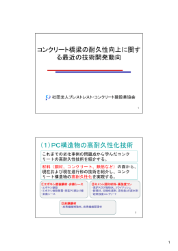 コンクリート橋梁の耐久性向上に関す る最近の技術開発動向 （1）PC