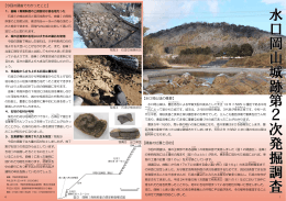 水口岡山城跡第2次発掘調査