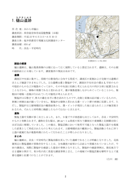 1.樋山遺跡（PDF形式 748キロバイト）