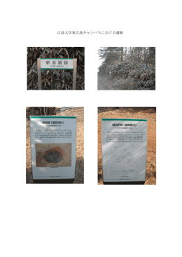 広島大学の遺跡