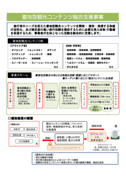 着地型観光コンテンツ総合支援事業