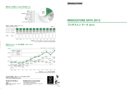 BRIDGESTONE DATA 2012