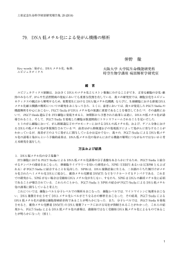 DNA低メチル化による発がん機構の解析