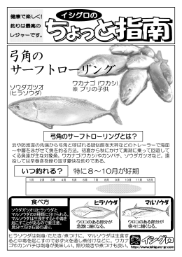 浜や防波堤の先端から弓角と呼ばれる疑似餌を天秤などのトレーラーで