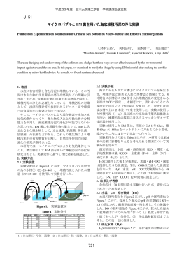 マイクロバブルと EM 菌を用いた海底堆積汚泥の