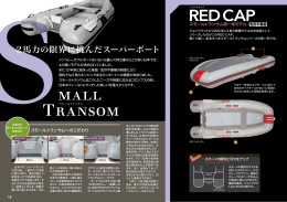 2015年度カタログ18～19ページ（RED CAP