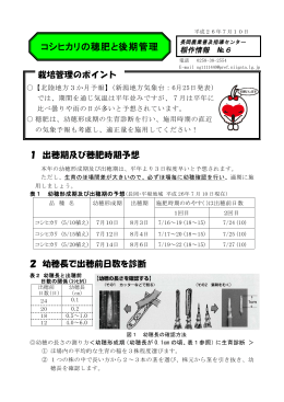 （コシヒカリの穂肥と後期管理）（PDF形式 498 キロバイト）